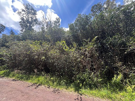 2nd image of Puna St Lot 542