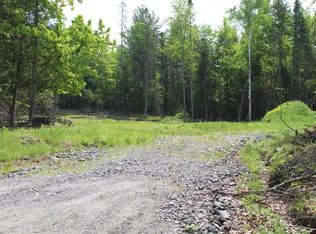 132 Fred Gay Rd, Indian Lake, NY 12842