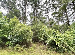 59/60 NE Laurie Ln, Mayo, FL 32066