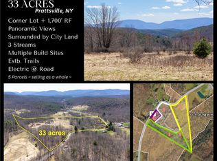 6 County Route 11, Prattsville, NY 12468