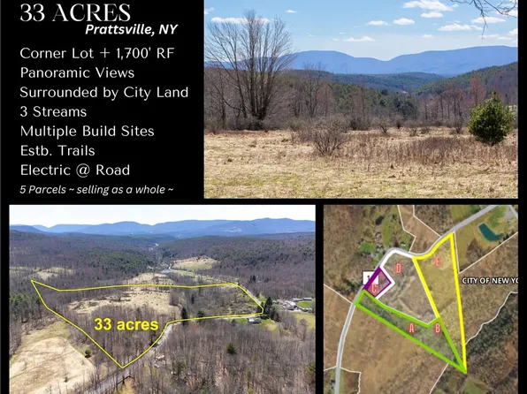 6 County Route 11, Prattsville, NY 12468
