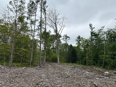 Lot 00 Maplewood Road, Parsonsfield, ME, 04047