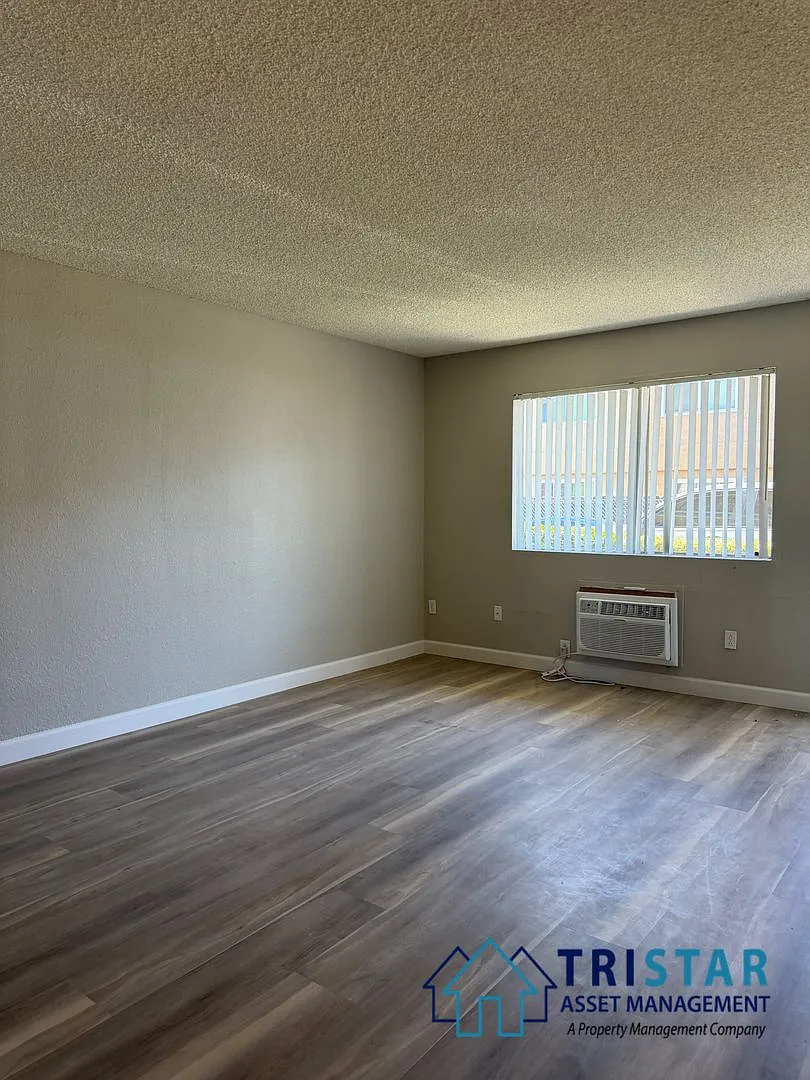 Laurel — Photo 2