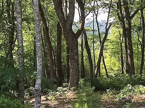 5th image of 5 Pinnacle Dr