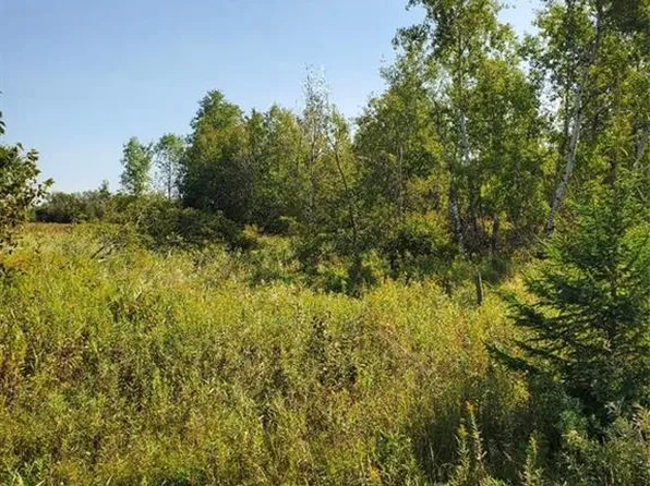 0 330th Street, Holcombe, WI 54745