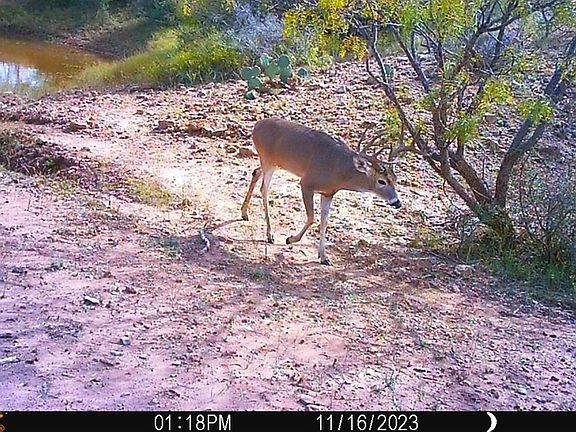 5th image of 88291 Suaa Rd #286