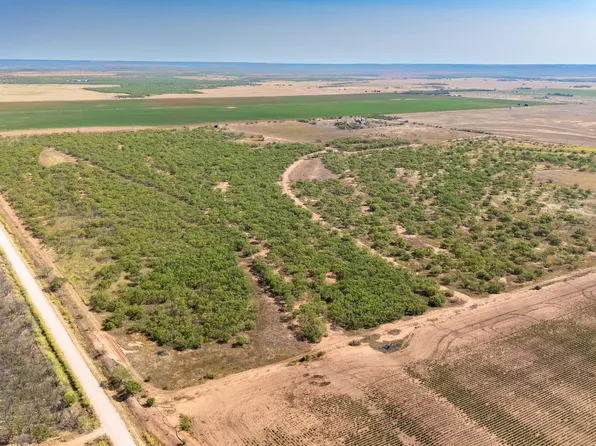 15995 County Road 466, Merkel, TX 79536