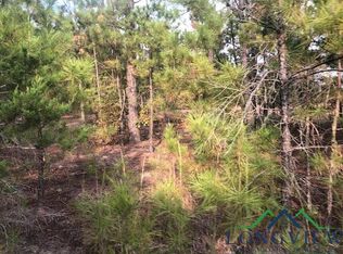 Tbd Cr 4114 Lovelady Rd, Hughes Springs, TX 75656