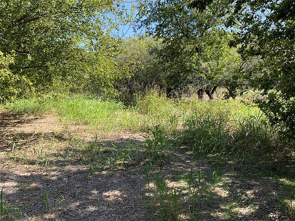4th image of 17435 Fm 1816 Lot 1