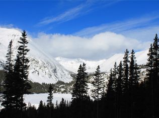 249 Goldfinch Pl, Alma, CO 80420