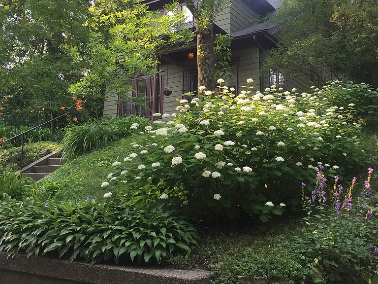 1178 Burns Ave — Photo 6