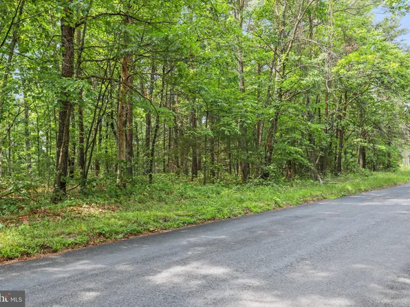 Suplinlick Ridge Lot 12 Rd, Mount Jackson, VA 22842