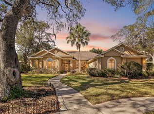 502 Little Eagle Ct, Valrico, FL 33594