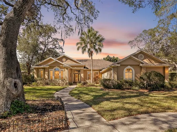 502 Little Eagle Ct, Valrico, FL 33594