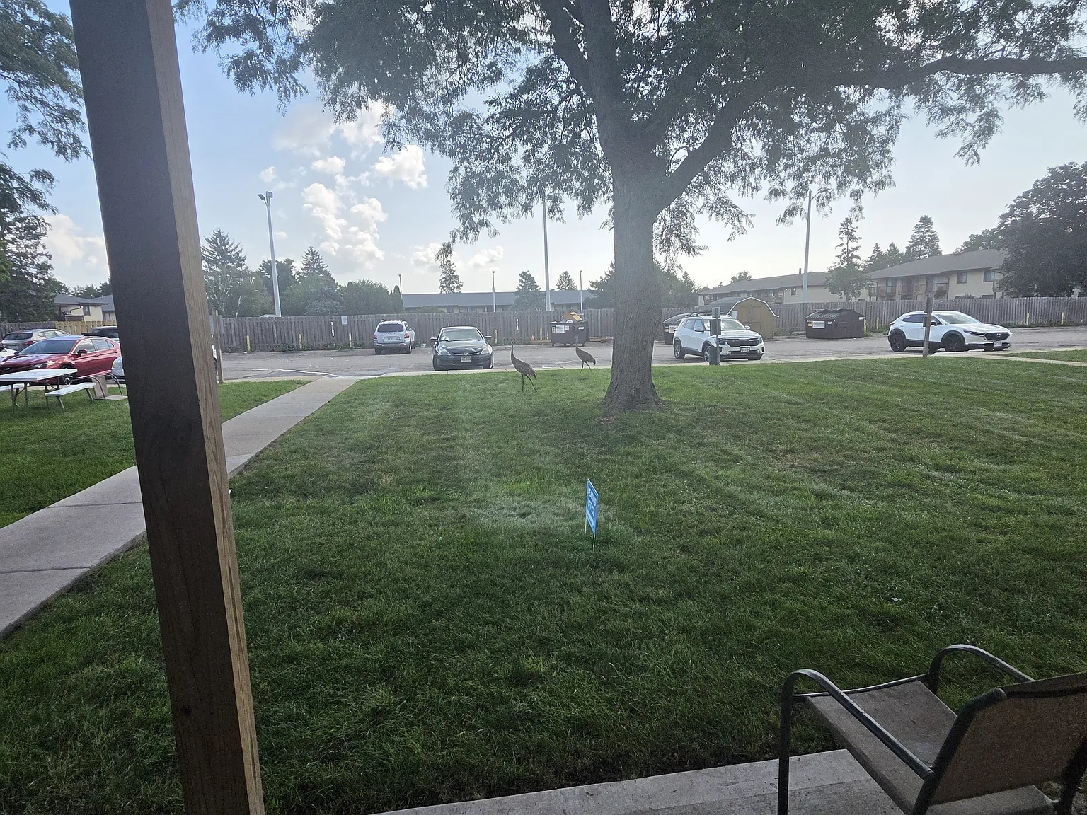 1 bed, 740 sqft, $1,250 — Photo 3