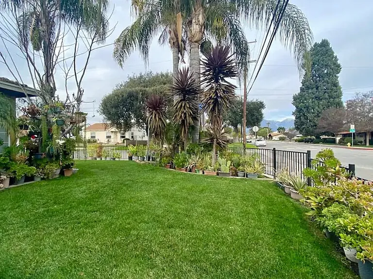Alameda St — Photo 22