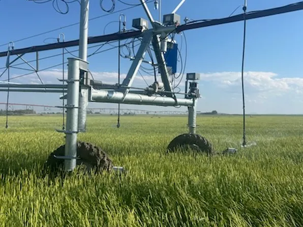 Nhn 1st Rd S, Fort Shaw, MT 59443