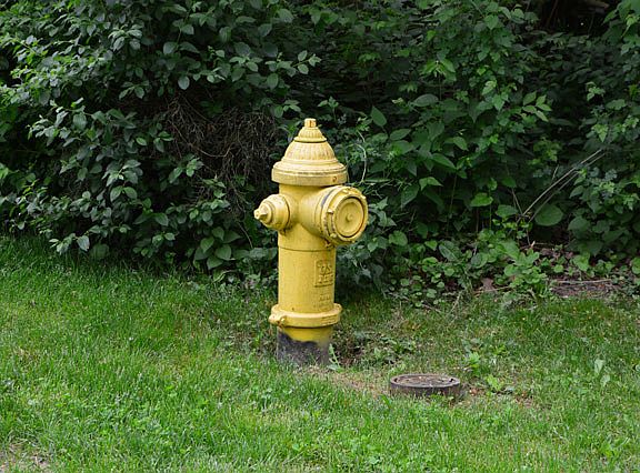 5th image of 1415 Timberlane Dr