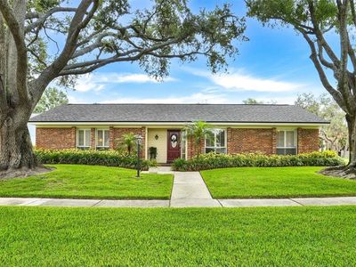 11816 LIPSEY ROAD, Tampa, FL, 33618
