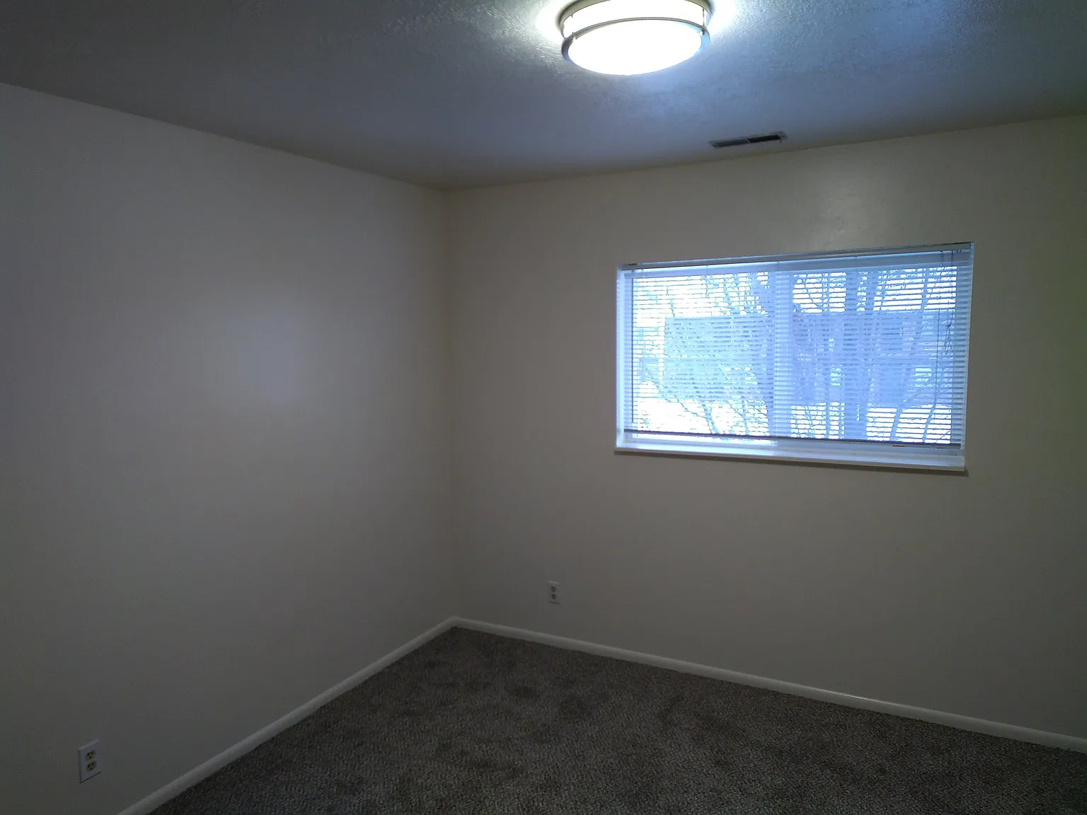 2 Bed 1 Bath Apartment in Logan — Photo 3