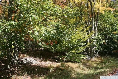 2nd image of 299 Wilderness Dr