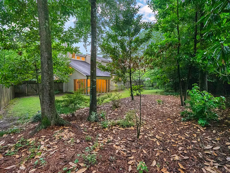 Backyard - half wooded, half grass.