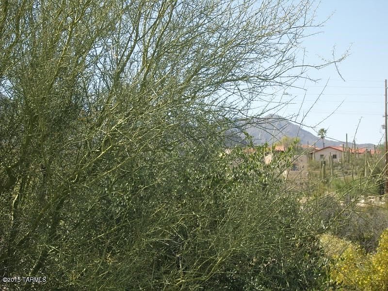 1st image of 3673 W Coral Bells Ct