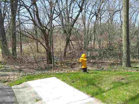 4th image of 1146 Gary Ct