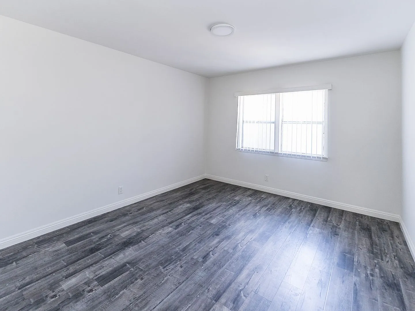 San Marino & Westmoreland APT — Photo 4