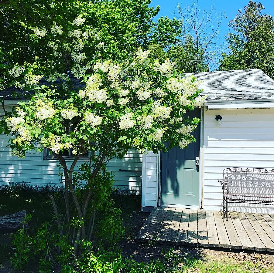 S Lacore Rd, Empire — Photo 1