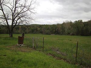 2nd image of Shamrock Ln