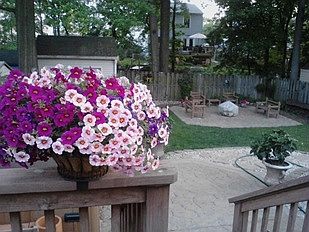 Backyard view of patios