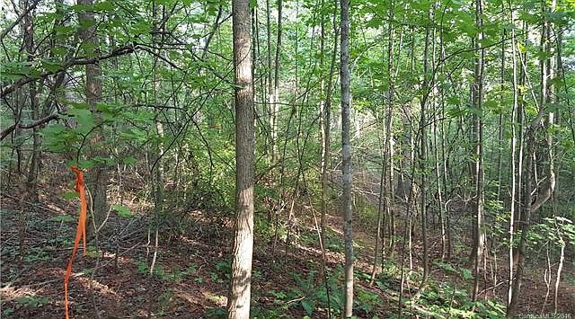 Build your dream home here!