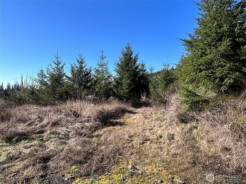2nd image of 0 NKA Salmon Creek Road