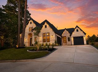 14 Brookwood Ct, Montgomery, TX 77356