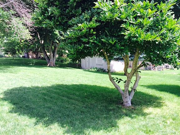 3rd image of 1517 Applewood Dr