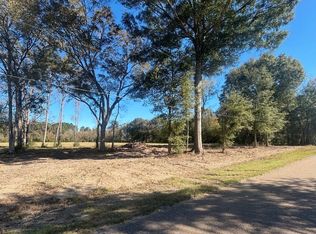 13052 Capace Rd LOT 3, Independence, LA 70443