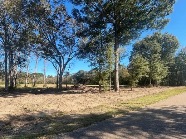 13072 Capace Rd Lot 4, Independence, LA 70443