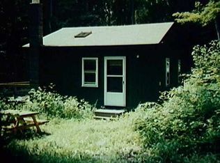 Treadlemire Rd, Middleburgh, NY 12122