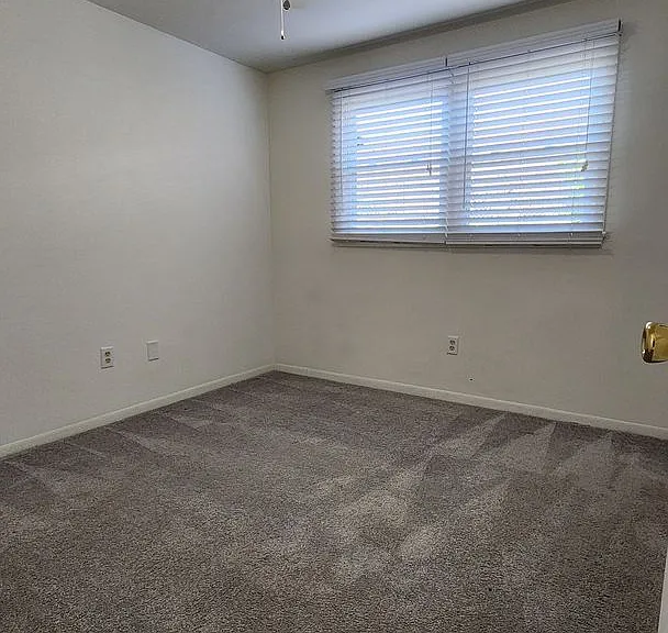 4810 Orchard Ave — Photo 12