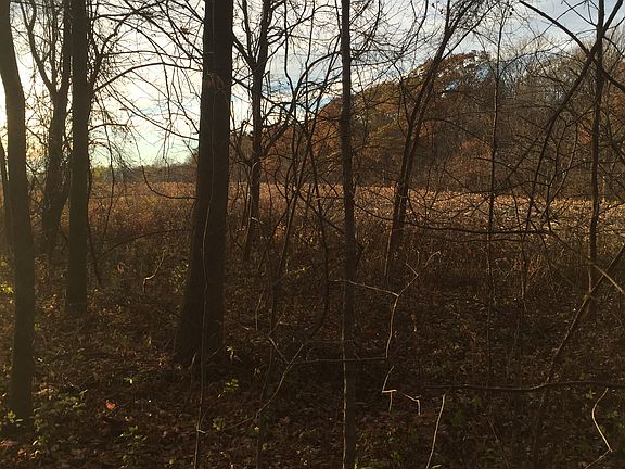 Wooded area towards back