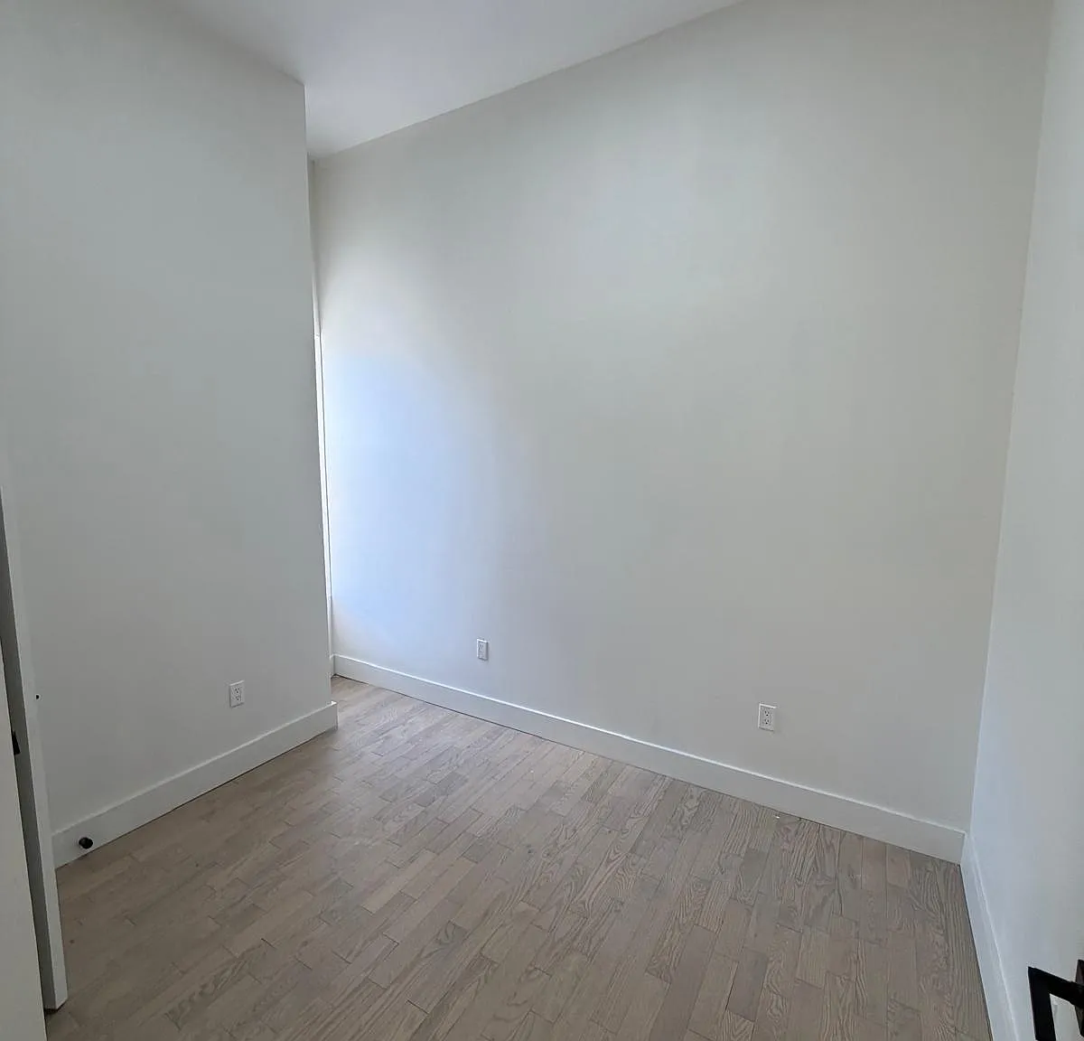 1 bed, 850 sqft, $1,550 — Photo 4