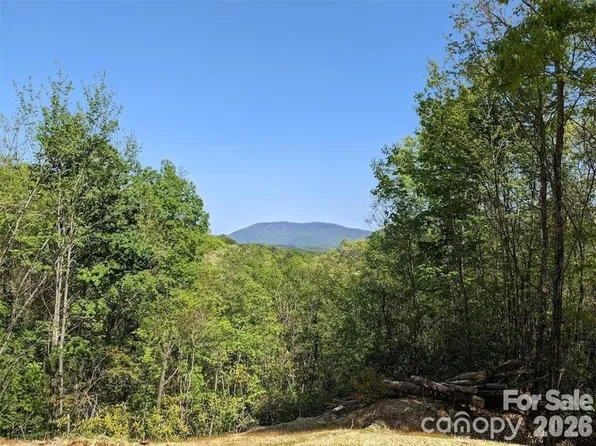 171 Nuthatch Ln #C-30, Old Fort, NC 28762