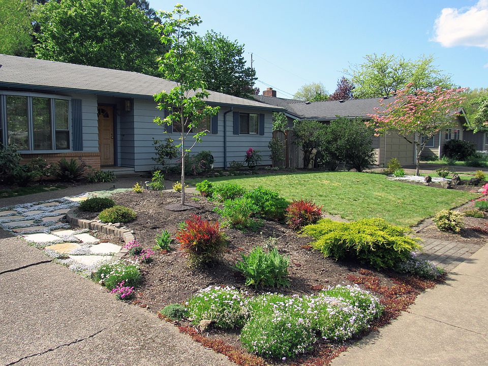 Front yard (May 2019)