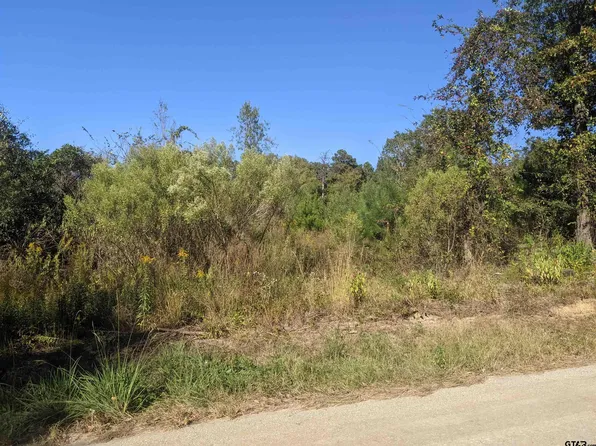 County Road 240, Tyler, TX 75705