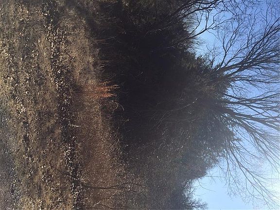 4th image of Timber Lake Dr Lot 2