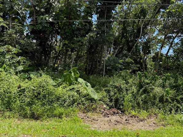 Oio St Lot 15, Pahoa, HI 96778