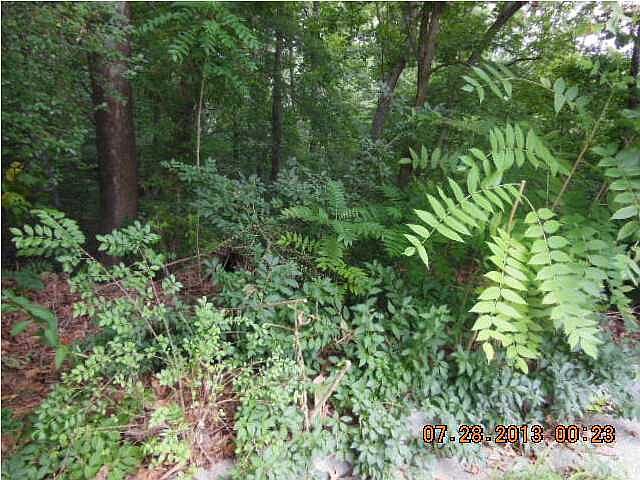 2nd image of 0 Shiloh Ln