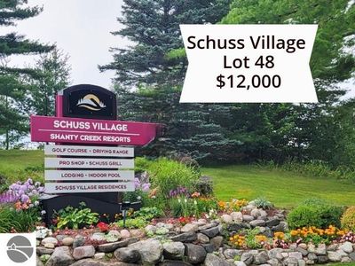 2746 Hauschen Ln, Bellaire, MI, 49615