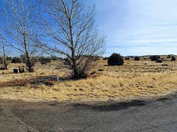 1351 S Meadow Way, Taylor, AZ 85939